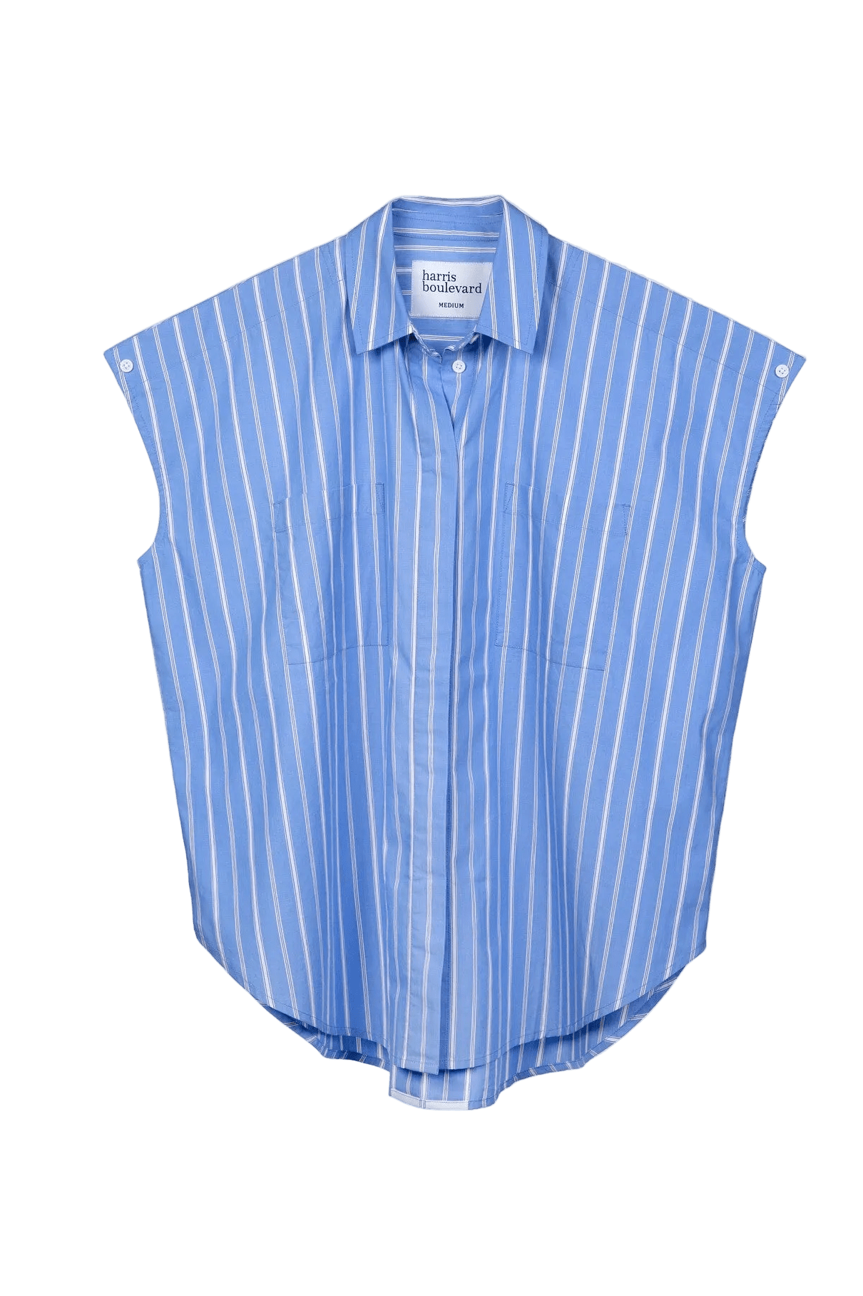 Blue Multi-Stripe Cap Sleeve Woven - harris boulevard